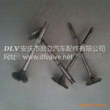 安慶市鼎立汽車配件有限公司 - 氣門及部件產品目錄